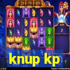 knup kp-t89 driver